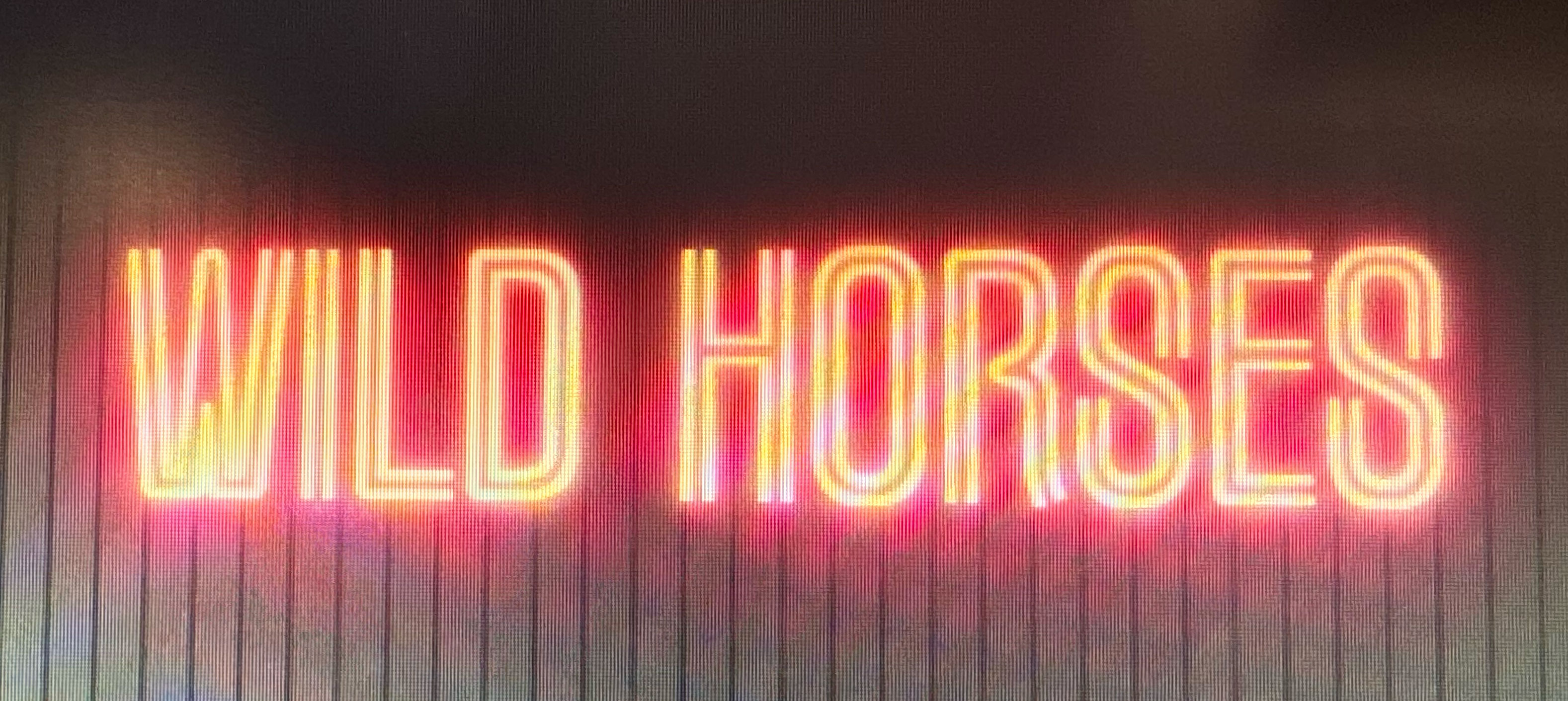 Wild Horses NYC